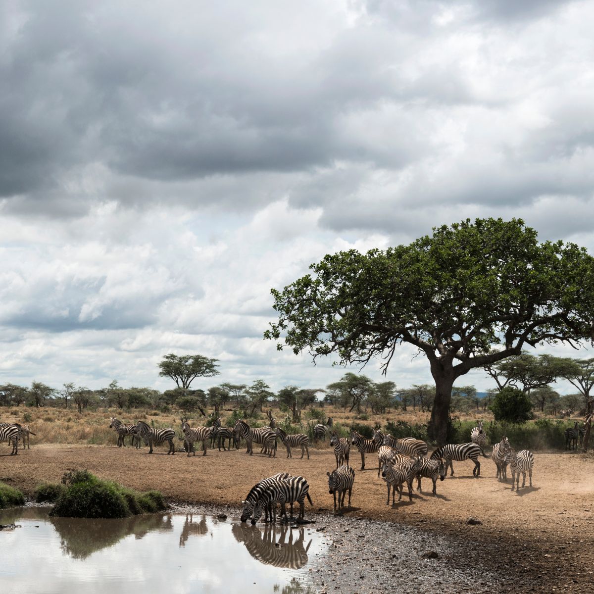 Hartsfield-Jackson Atlanta International Airport
